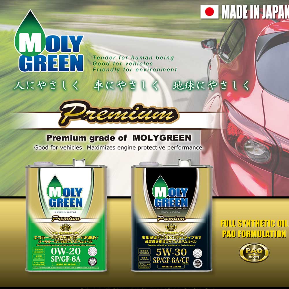 Моторное масло MolyGreen